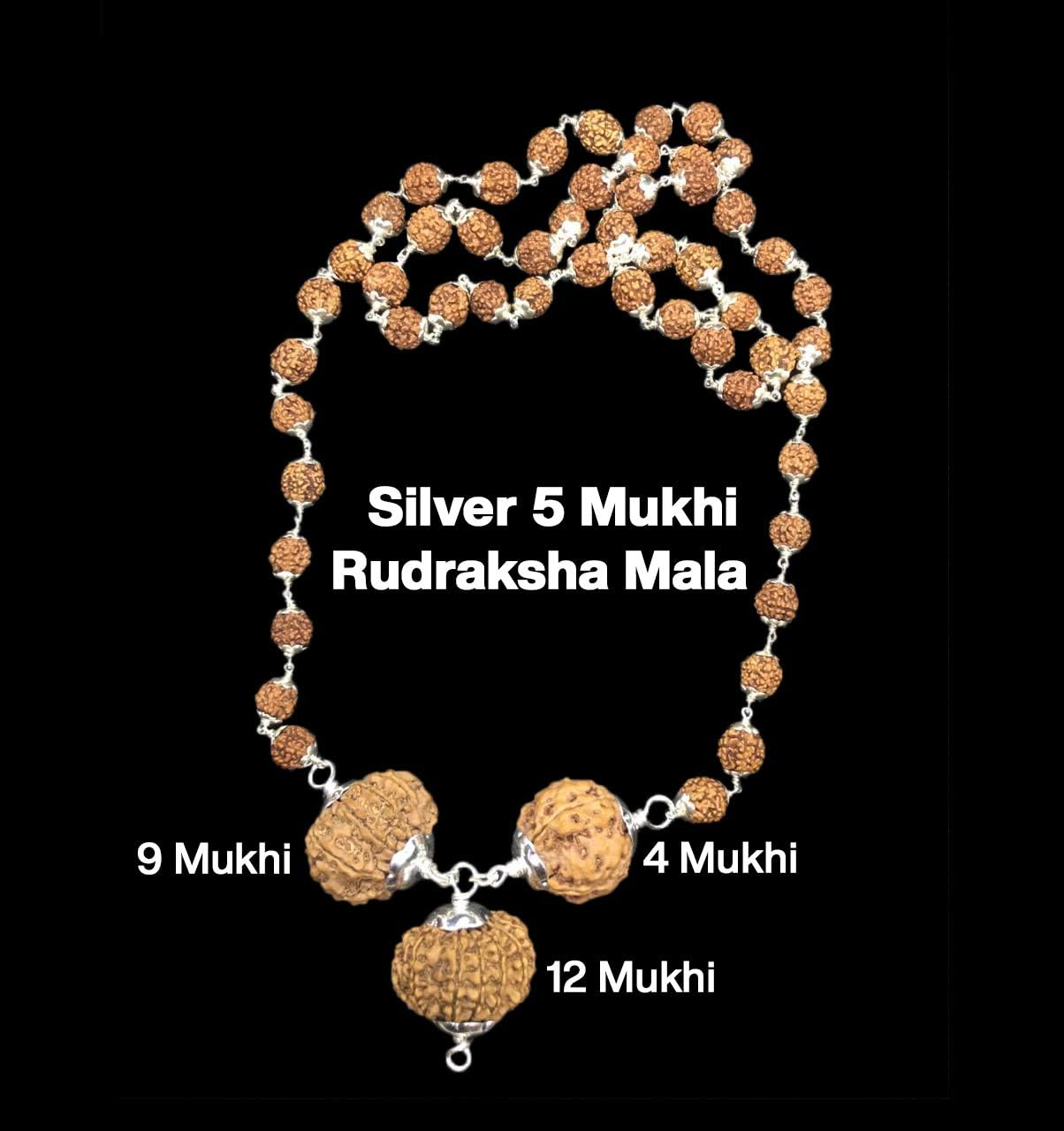 Rudraksha Combination for Doctors 4,9,12 Mukhi Nepal in Silver Mala IGL Lab Certified Original Genuine Beads (Big)