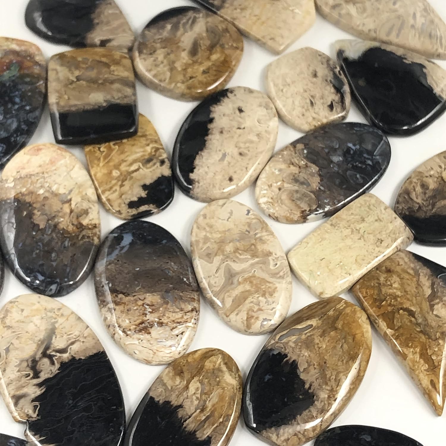Natural PALM WOOD AGATE Gemstone Loose Cabochon Lot For Jewelry Making, Loose Gemstone For Ring, Earring & Pendant Necklace, Jewelry Making Cabochons, Healing Gemstones
