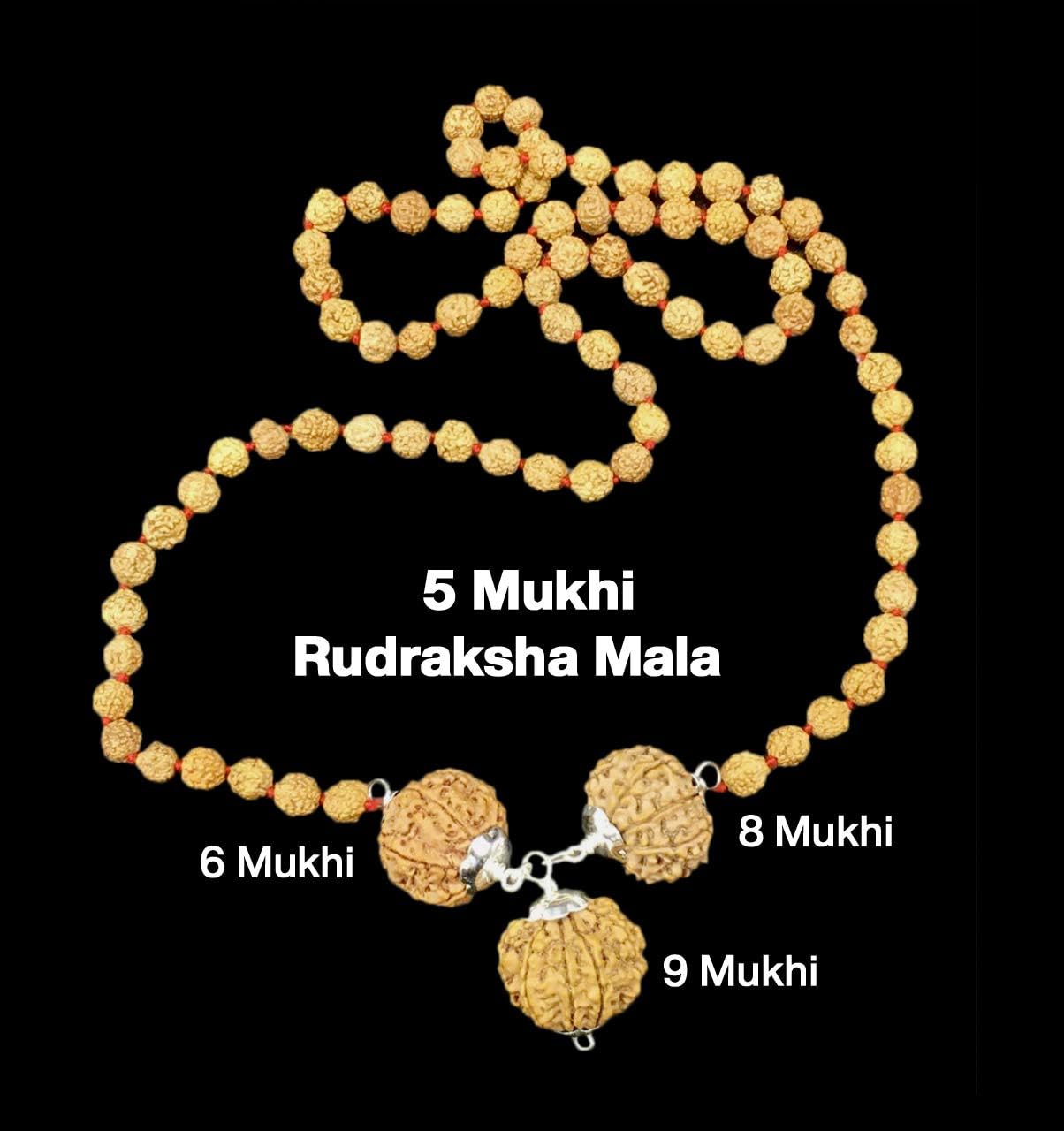 Rudraksha Combination for Females in Business 6,8,9 Mukhi Nepal in Rudraksha Mala IGL Lab Certified Original Genuine Beads (Small)