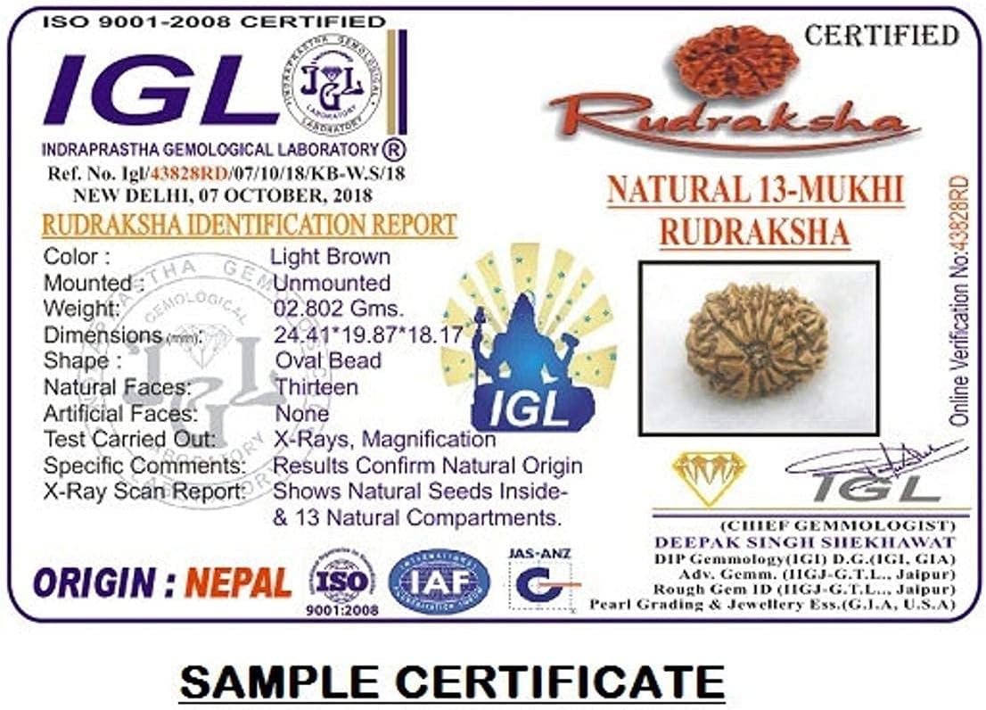 13 Mukhi Nepal Rudraksha/Thirteen Face/Lord Kamadeva in Pure Silver Pendant IGL Certified 100% Original Geniune Bead All Size (Rare 30mm-32mm)