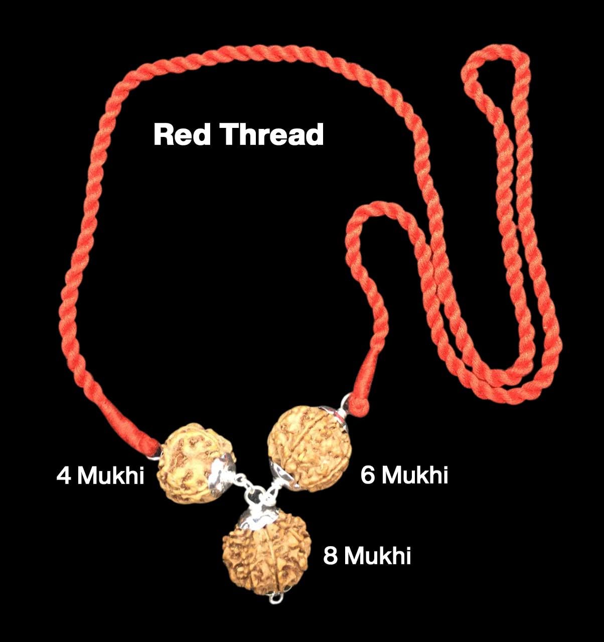 Rudraksha Combination for Advocates 4,6,8 Mukhi Nepal in Silver Pendant Lab Certified Original Genuine Beads (Tiny)
