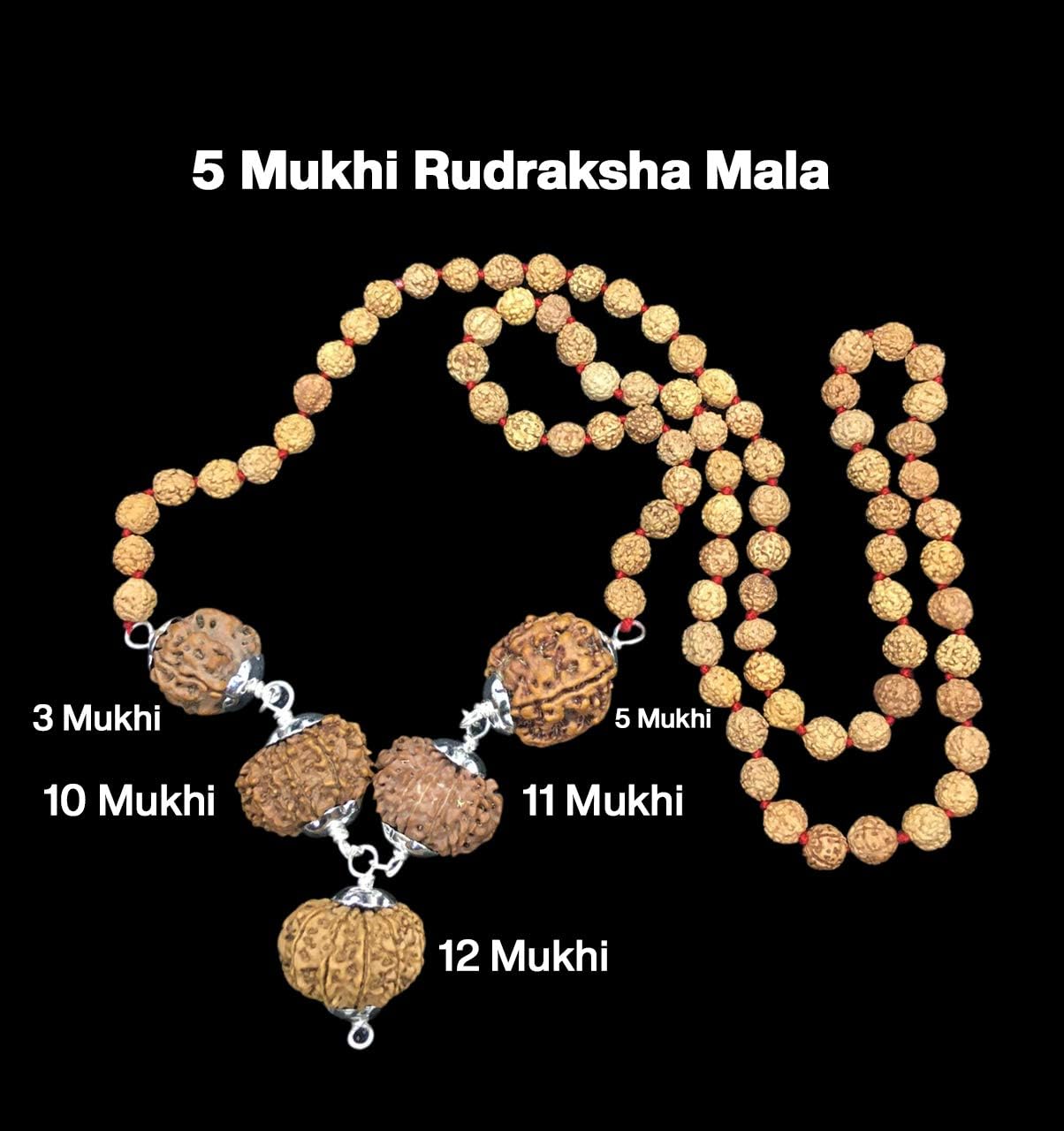 Rudraksha Combination for Navagraha Shanti 3,5,10,11,12 Mukhi Nepal in Rudraksha Mala IGL Lab Certified Original Genuine Beads (Big)