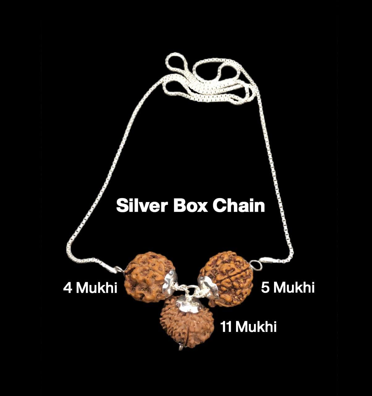 Rudraksha Combination for Wisdom 4,5,11 Mukhi Nepal in Silver Chain IGL Lab Certified Original Genuine Beads (Collecter)