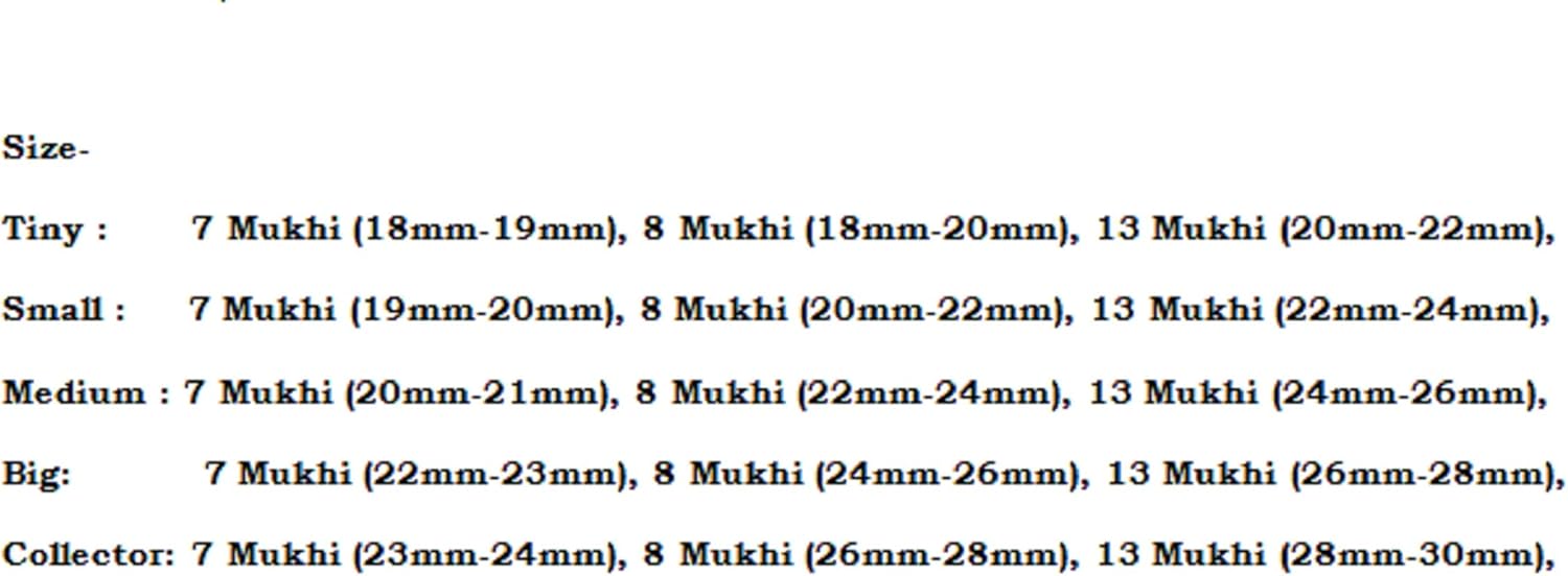 Rudraksha Combination for Business Power (Marketing & Trading) 7,7,8,13 Mukhi Nepal in Silver Mala IGL Lab Certified Original (Medium)