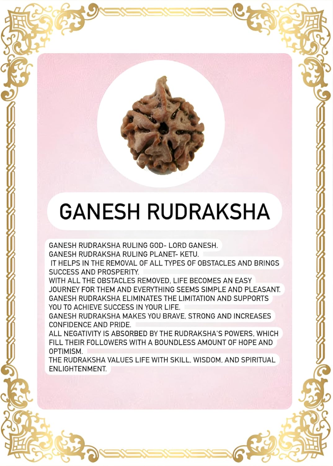 Ganesh Rudraksha Nepal Original Adjustable Thread Energized (Collector 25mm-26mm)