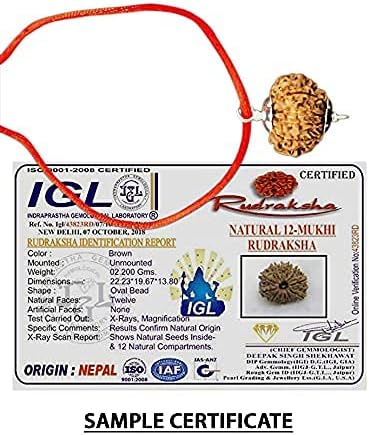 12 Mukhi Nepal Rudraksha /Twelve Face/ Lord Sun in Pure Silver Pendant IGL Certified 100% Original Geniune Bead All Size (Tiny 20mm-22mm)