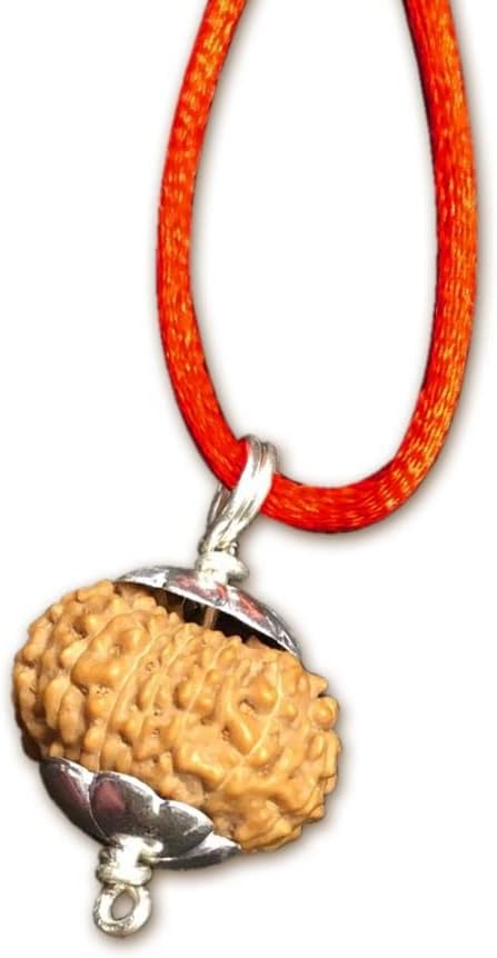 15 Mukhi Indonesian Rudraksha /Fifteen Face Java/ Lord Pashupati In Pure Silver Pendant IGL Certified 100% Original Geniune Bead All Size