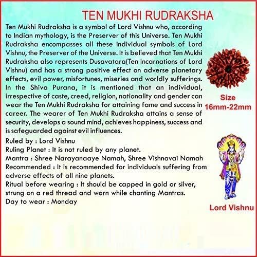 Caratyogi Choose Your Natural Certified Nepali Rudraksha 1, 2, 3, 4, 5, 6, 7, 8, 9, 10, 11, 12, 13 Mukhi Rudraksh Ganesh Mukhi Rudraksh Gauri Shankar Gold Plated Pendant for Men Women