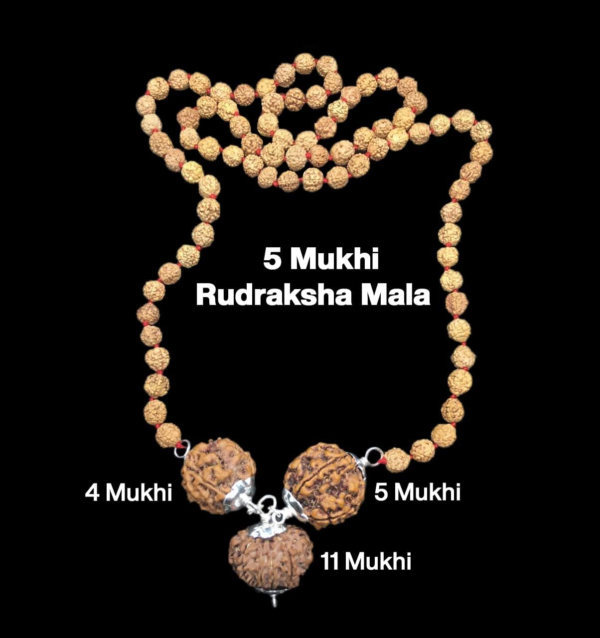 Rudraksha Combination for Wisdom 4,5,11 Mukhi Nepal in Rudraksha Mala IGL Lab Certified Original Genuine Beads (Medium)