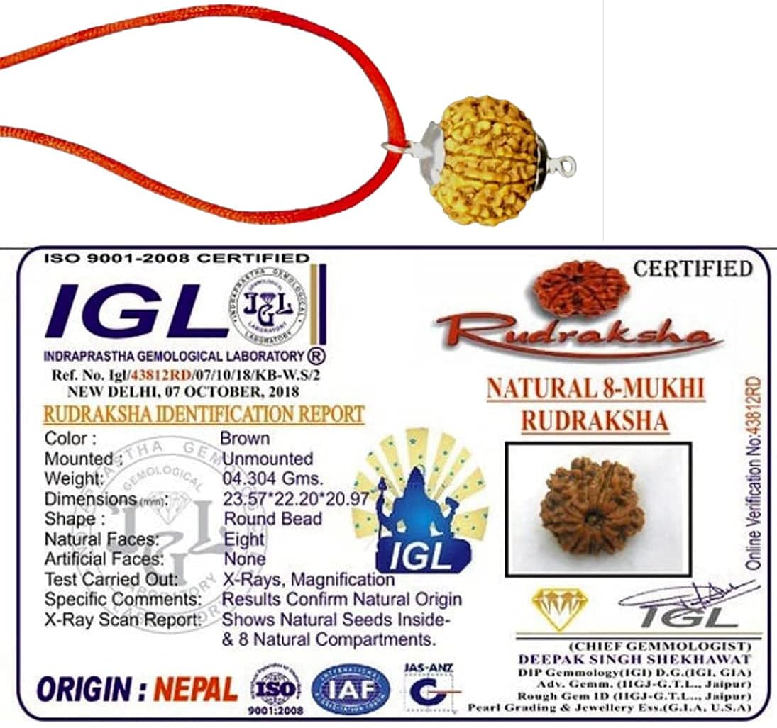 8 Mukhi Nepal Rudraksha /Eight Face/ Lord Ganesh in Pure Silver Pendant IGL Certified 100% Original Geniune Bead All Size (Collector (26mm-28mm))