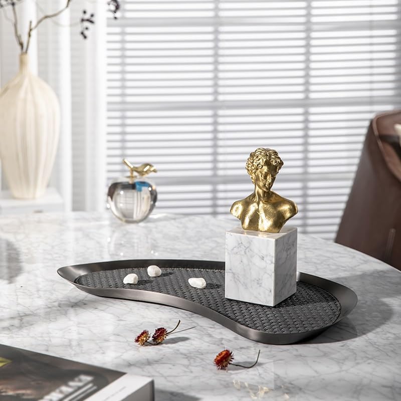 Tray Decor Simple Modern Metal Geometric Black Leather Tray Tray Living Room Sample Ornaments Storage Tray Food Tray(Medium)