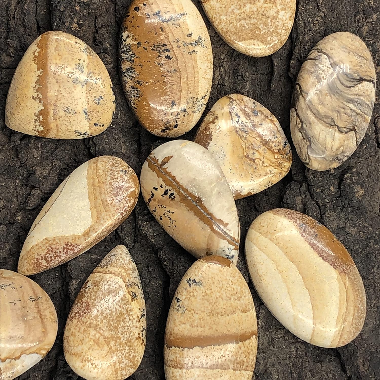 Natural PICTURE JASPER Gemstone Loose Cabochon Lot For Jewelry Making, Loose Gemstone For Ring, Earring & Pendant Necklace, Jewelry Making Cabochons, Healing Gemstones