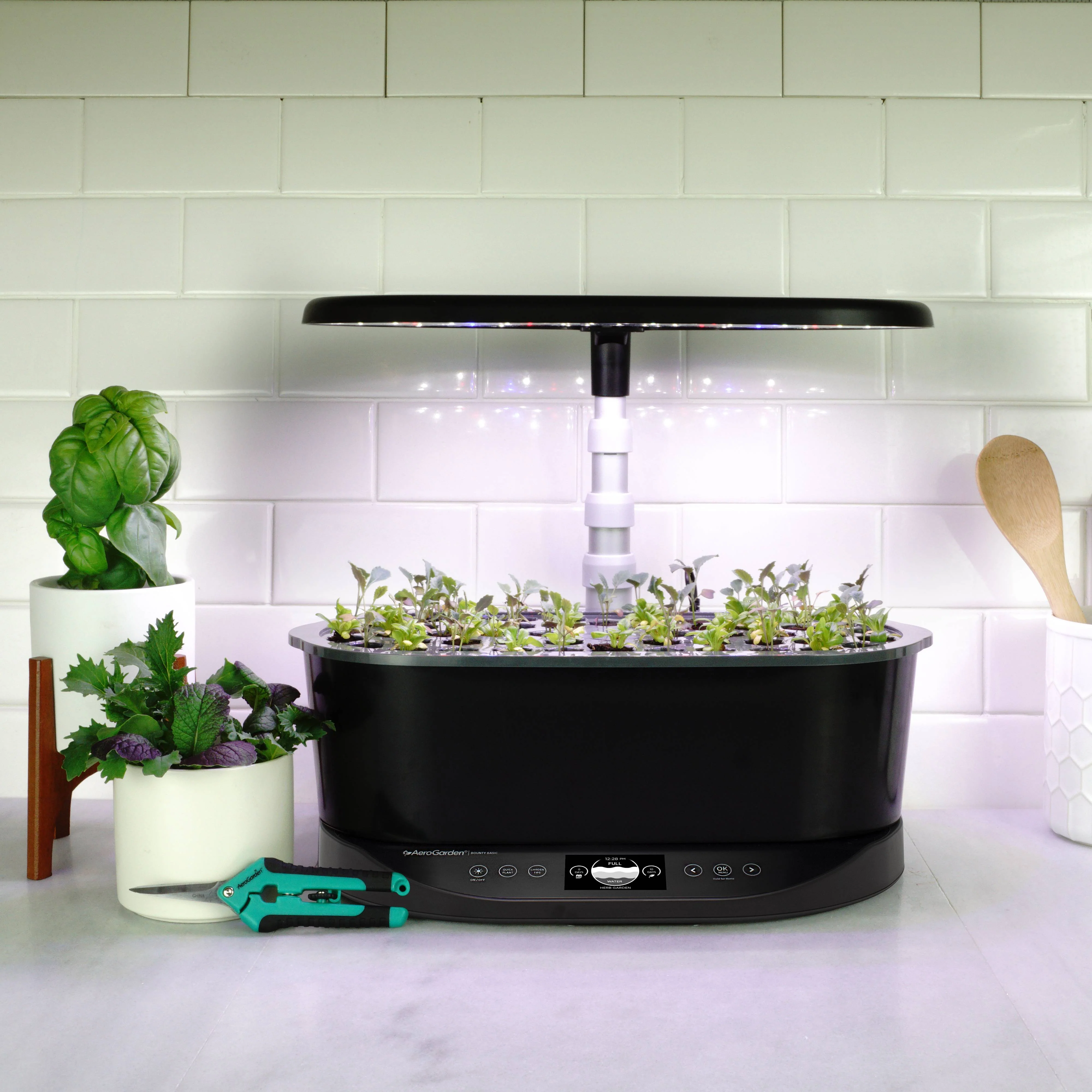 Indoor Garden with Seed Starting System