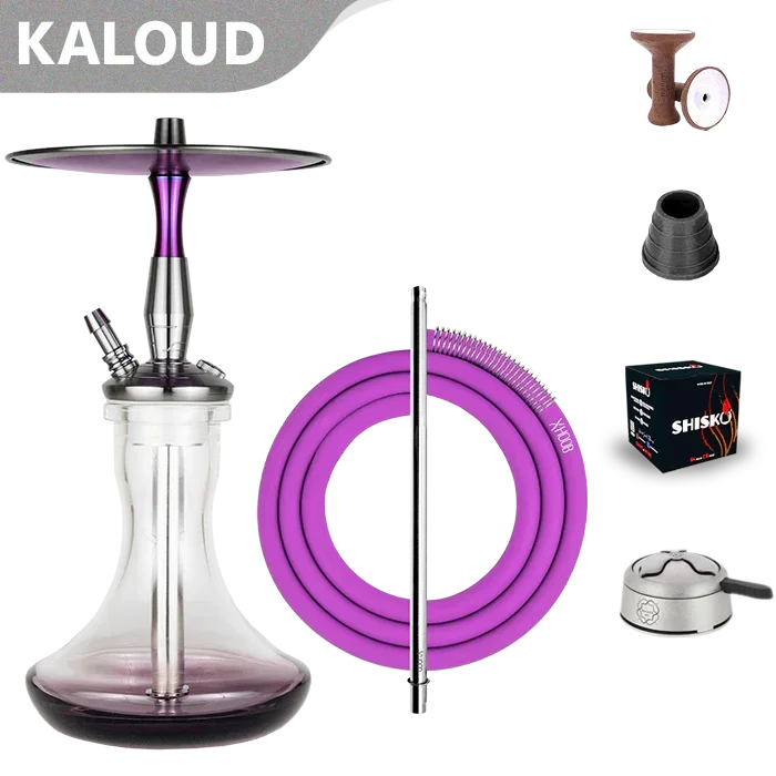 Hoob Cyber Hookah - Purple P30