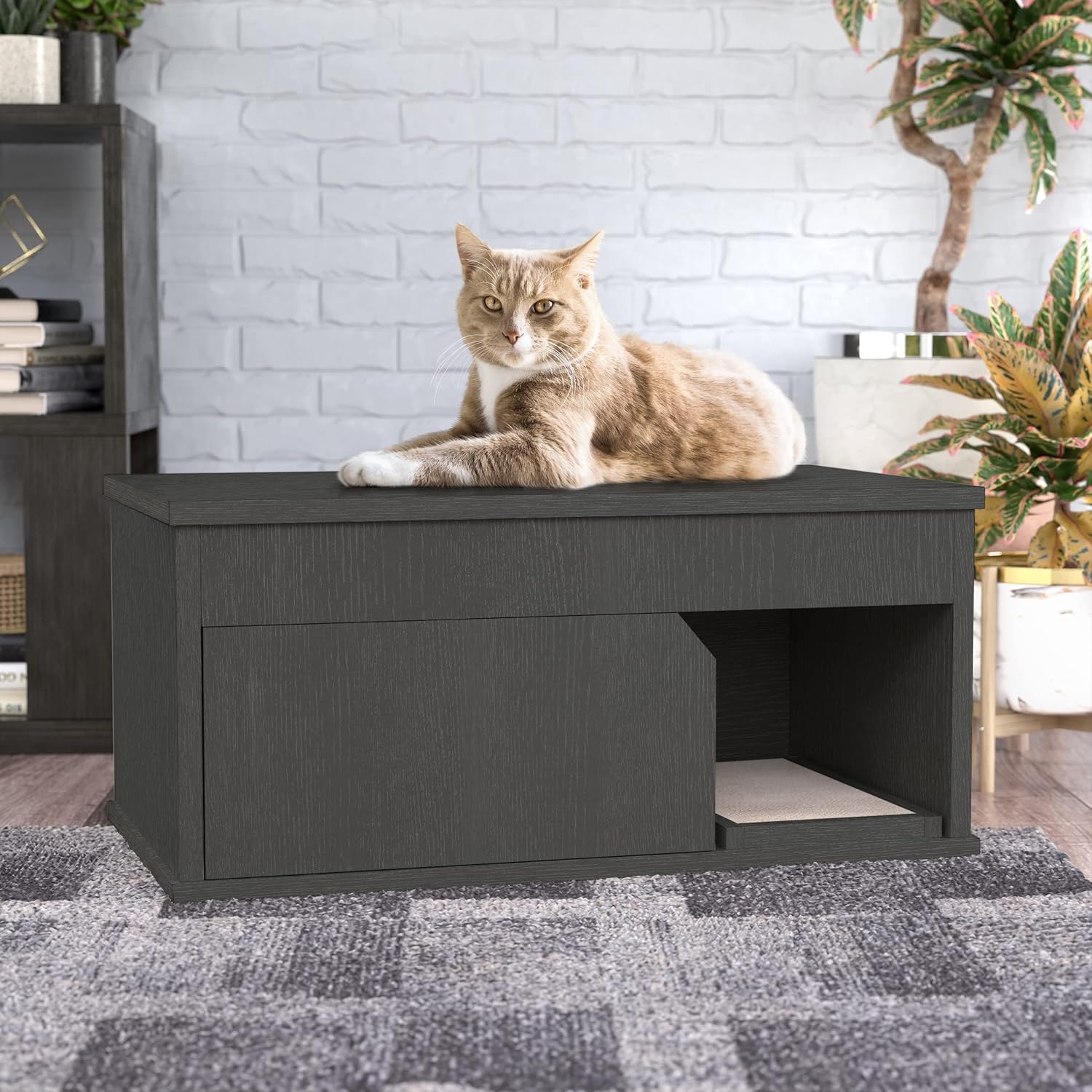 Eco Friendly Simple Modern Cat Litter Box Furniture
