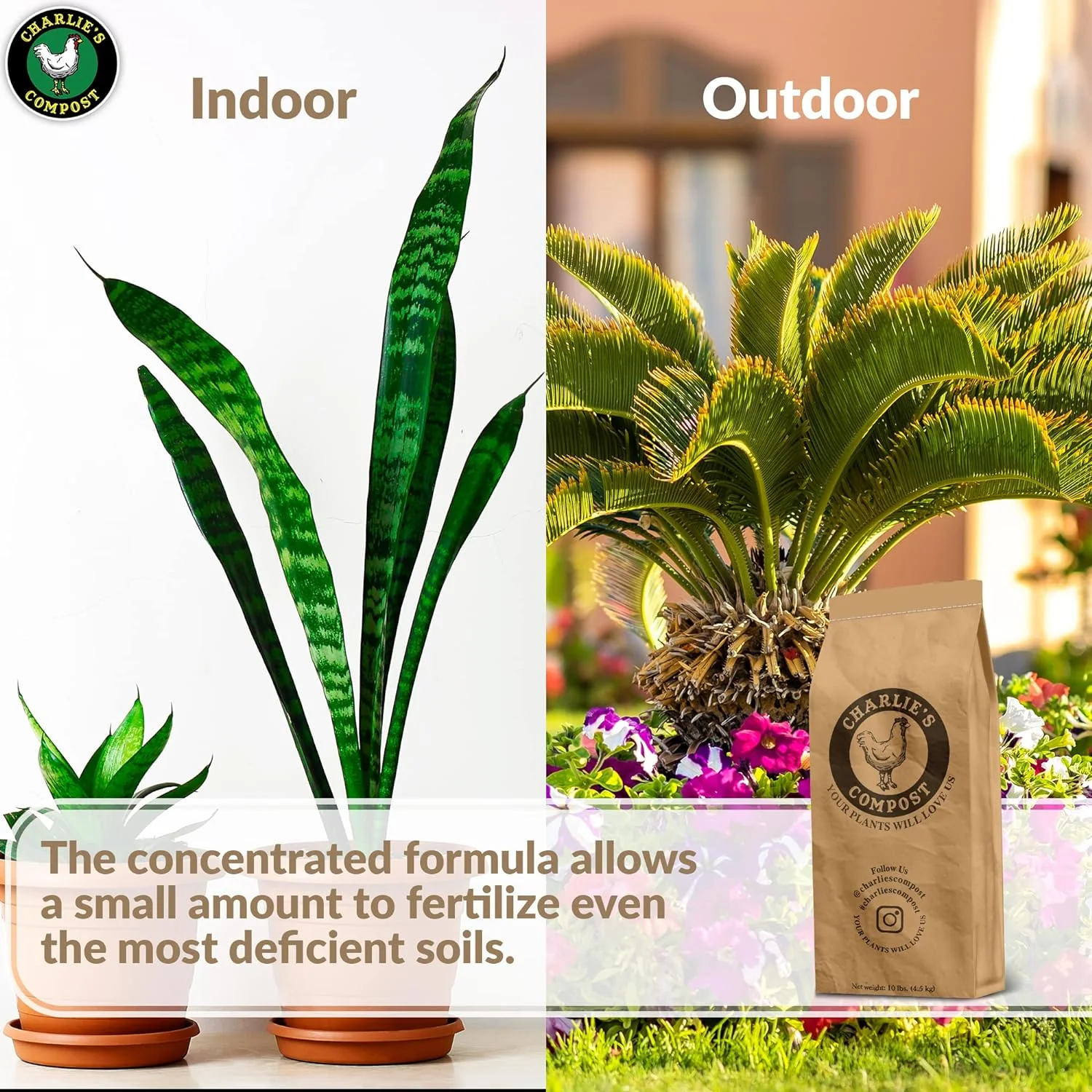 Garden and Plant Compost 10lb