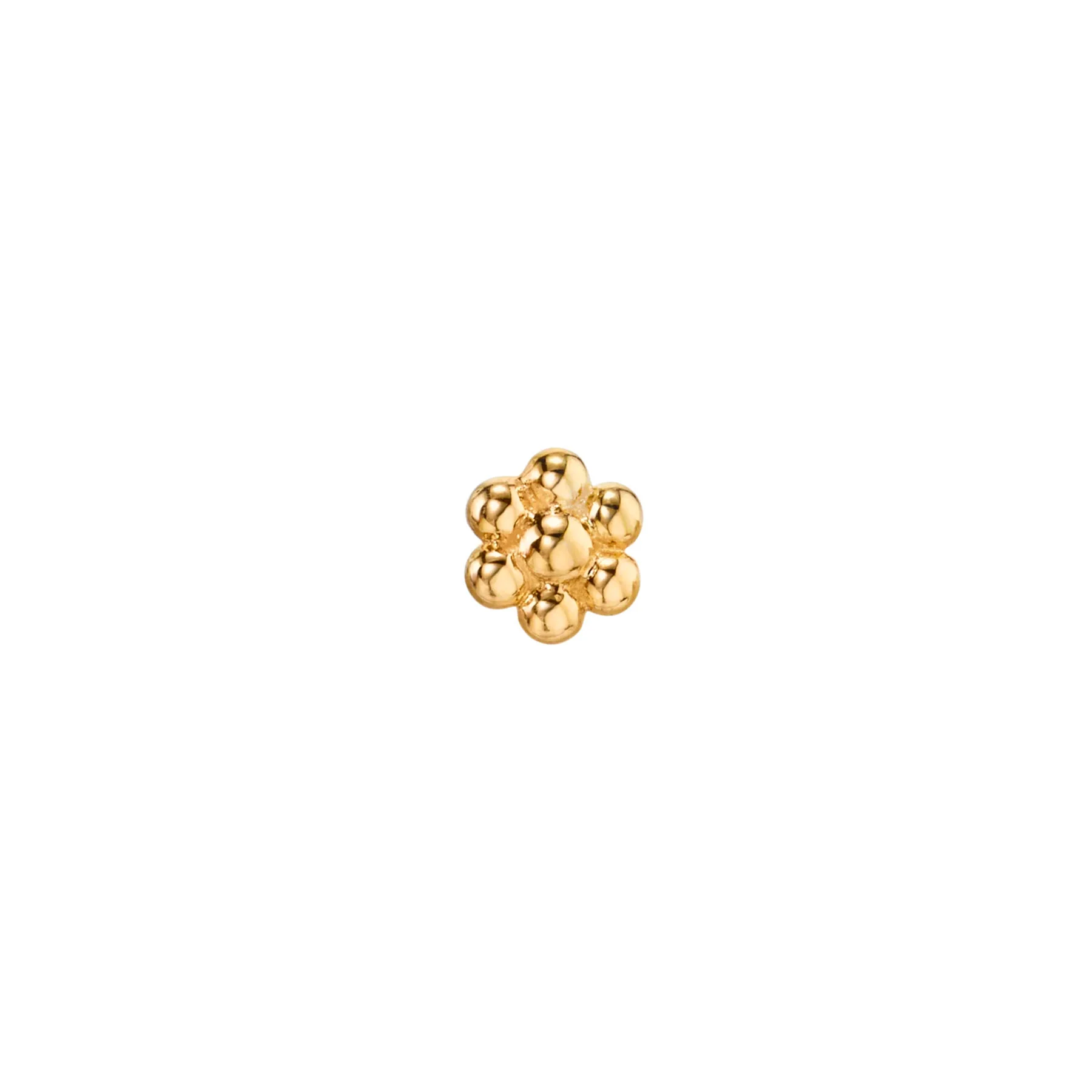 Mini Teddy Flower Stud - 14k Yellow Gold