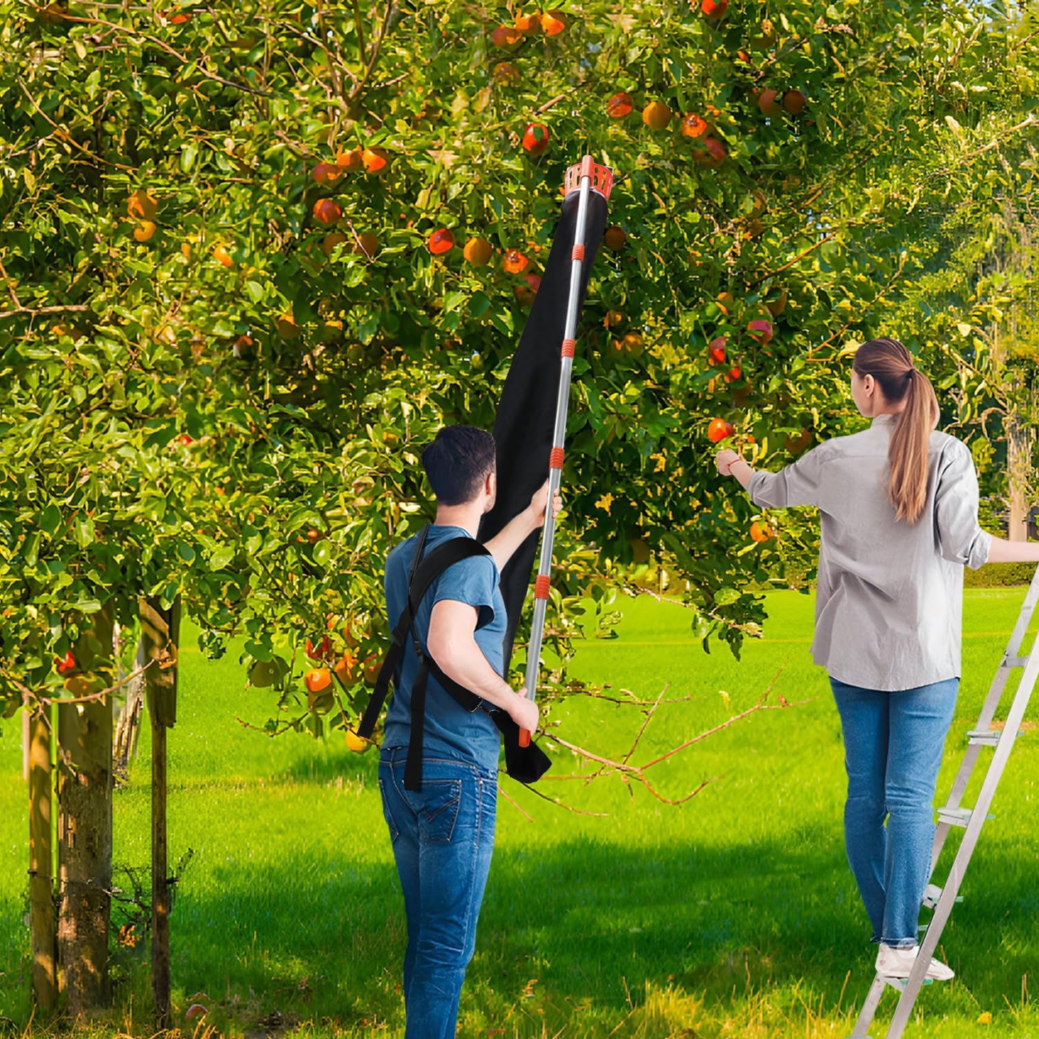 Fruit Picker Pole with Harvest Bag - Up to 13FT Adjustable
