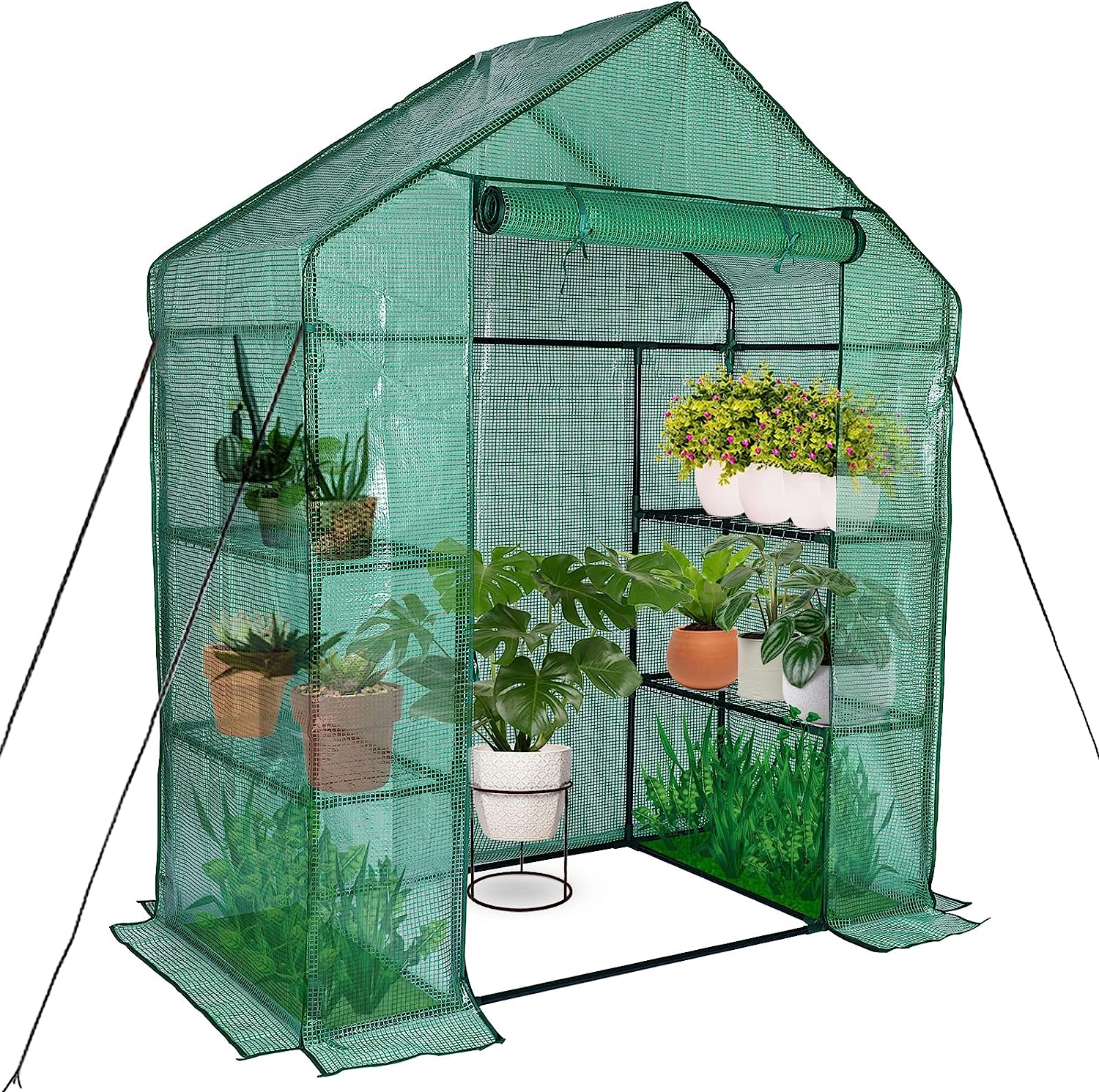 Greenhouses for Outdoors, Portable Walk in Greenhouse for Garden Plants That Need Frost Protection and Away from Pests and Animals