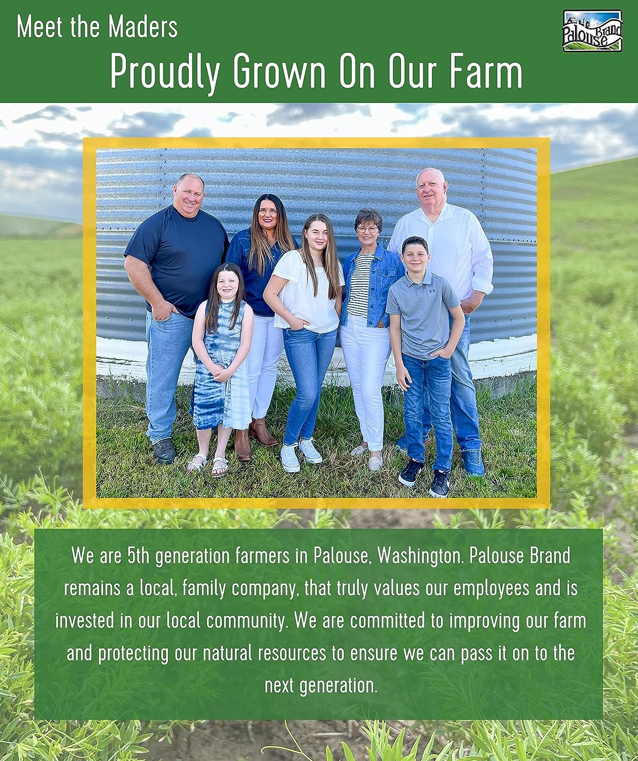 Green Split Peas Non-GMO 100% Non-Irradiated Certified Kosher Parve USA Grown