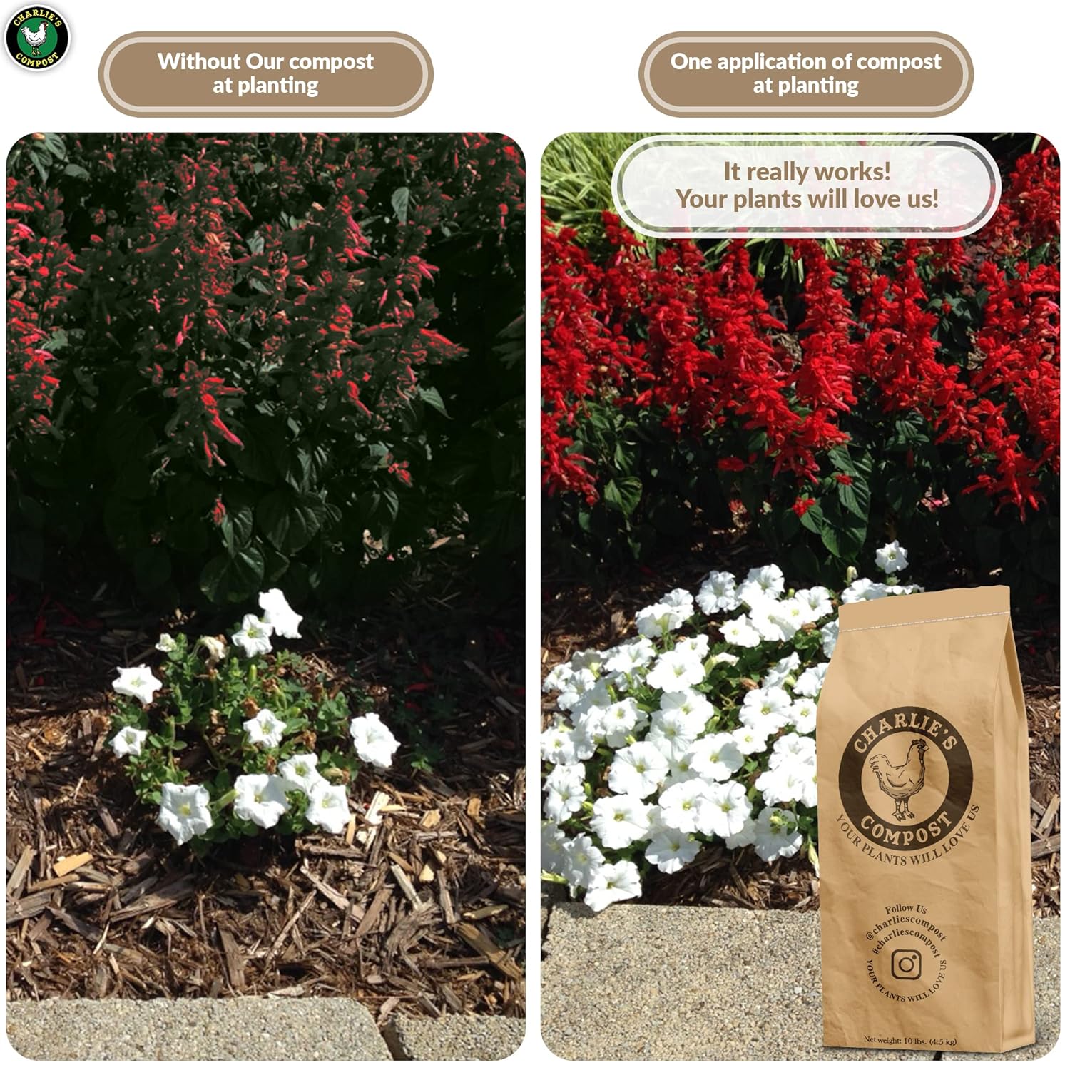 Garden and Plant Compost 10lb