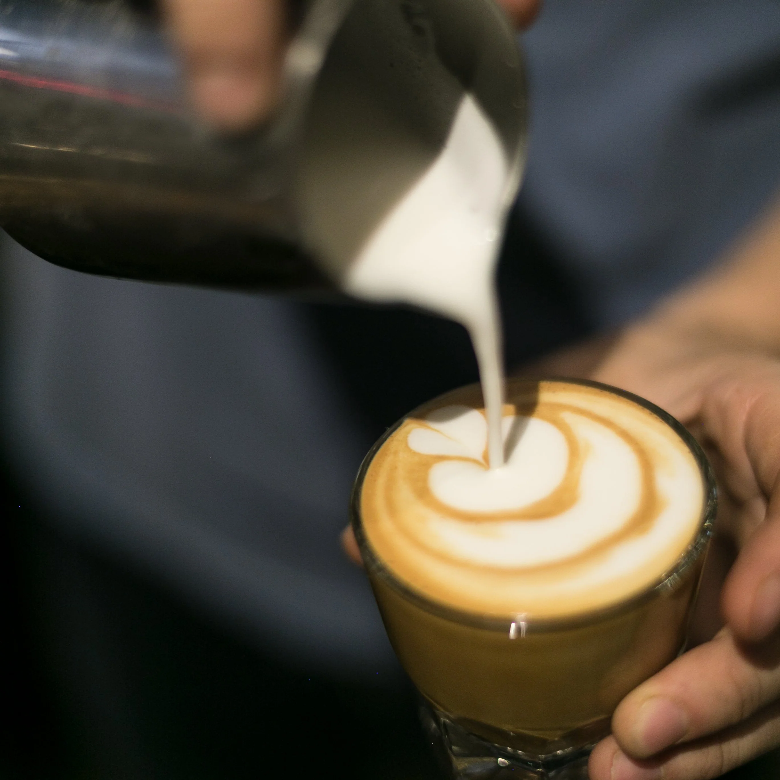 Coffee School Portland: Milk Steaming and Latte Art