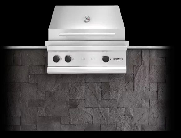 Echo 3 Built-in Gas Grill