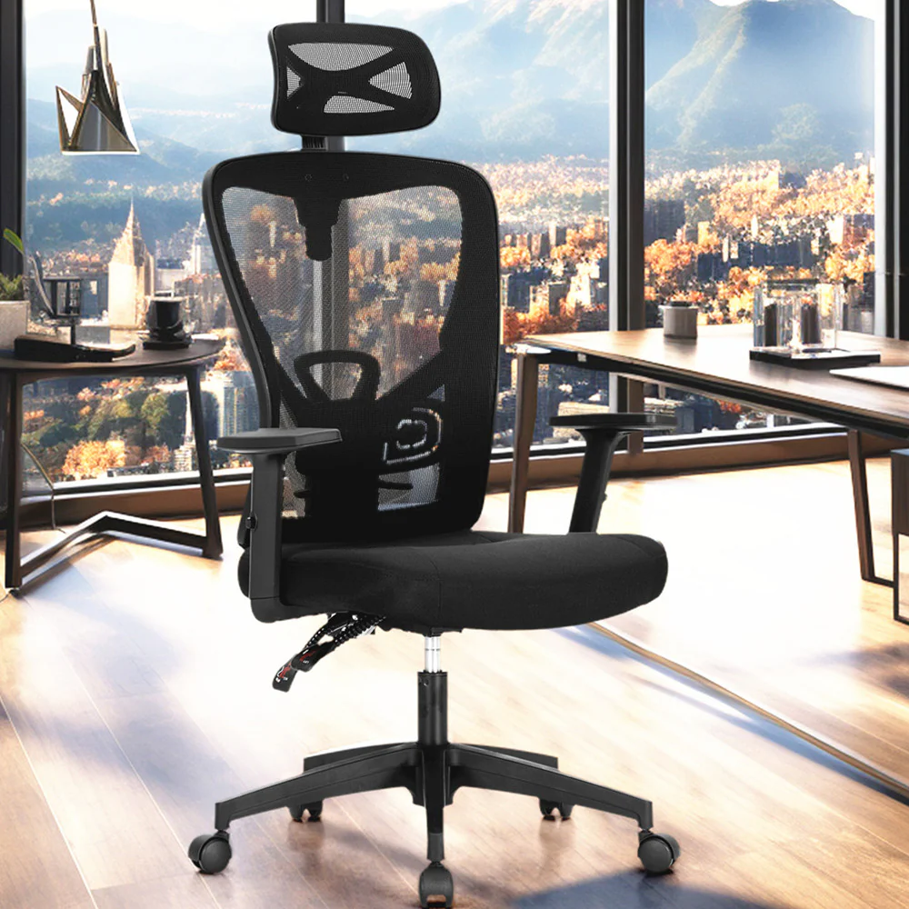 Phi Villa Adjustable Mesh Swivel Office Chair with Headrest and Lumbar Support