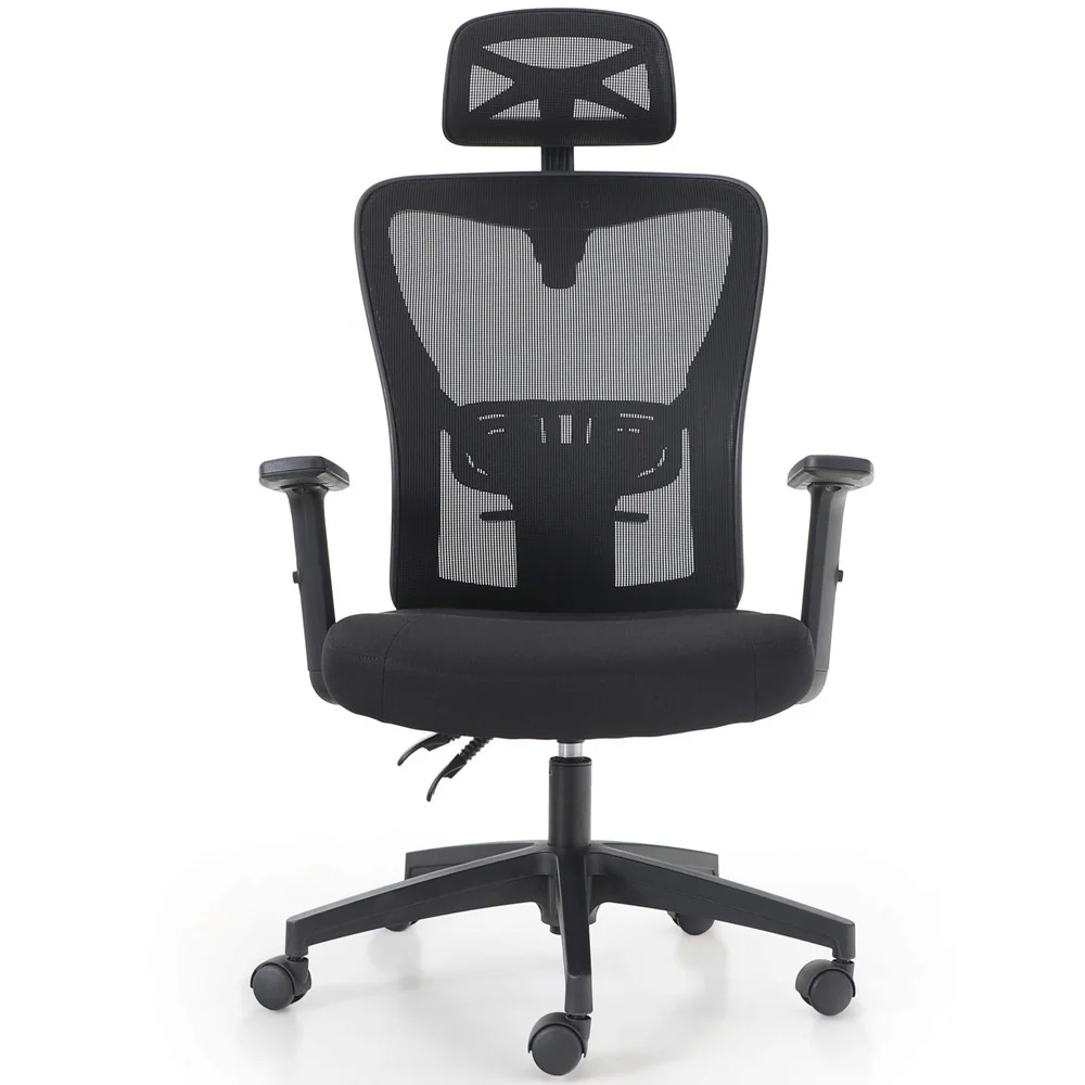 Phi Villa Adjustable Mesh Swivel Office Chair with Headrest and Lumbar Support