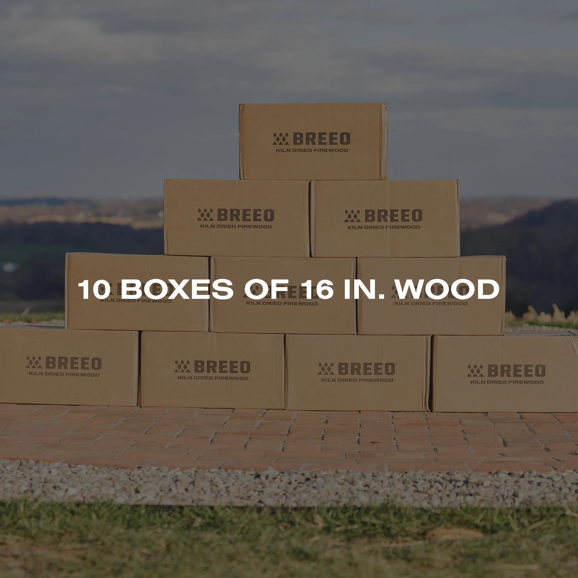 Bonfire Bundle - Oak Firewood