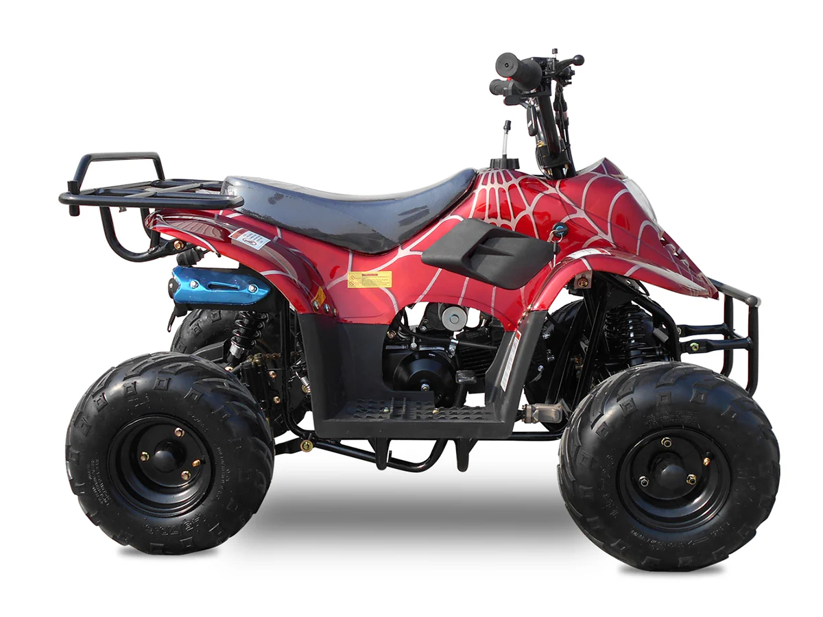 Rex 110cc ATV | 4-Stroke Automatic Transmission