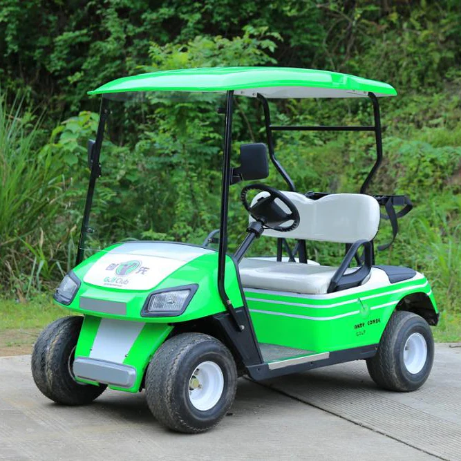 Environment Friendly 2 Seater Electric Golf Cart Mini Club Car