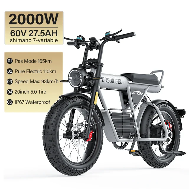 Adult Electric Bike 2000W Motorcycle electric bicycle 93km/h Speed ebike 20*5.0 inch Fat Tire 60V 27.5AH Mountain dirt bike