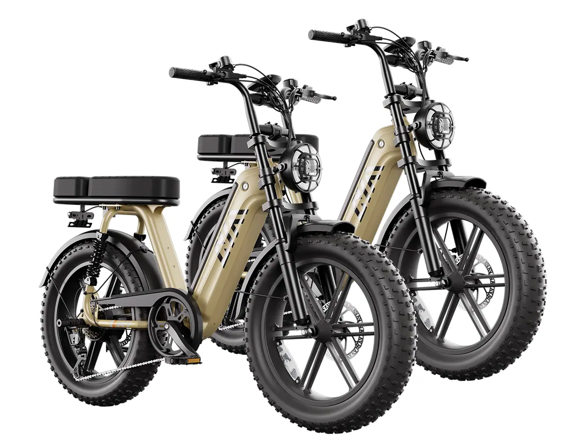 TST? Combo Sale R7 1500W Full Suspension Electric Cargo Bike