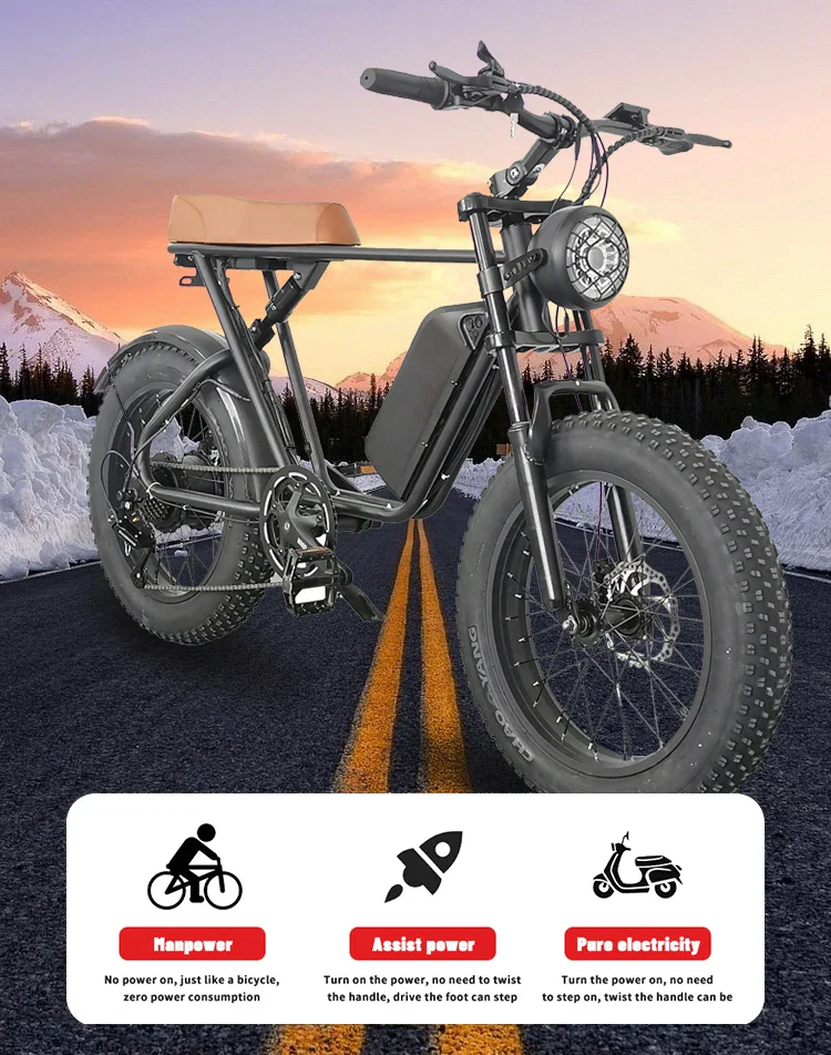 Eu Usa Warehouse Ready Stock C91 Electric Bike 1000W 20 Inch Fat Tire Electric Bicycle Part Electric Dirt Bike Bicycle