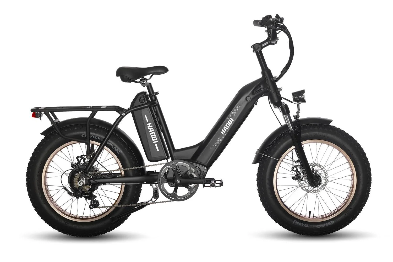HAOQI Antelope Pro Cargo Electric Bike