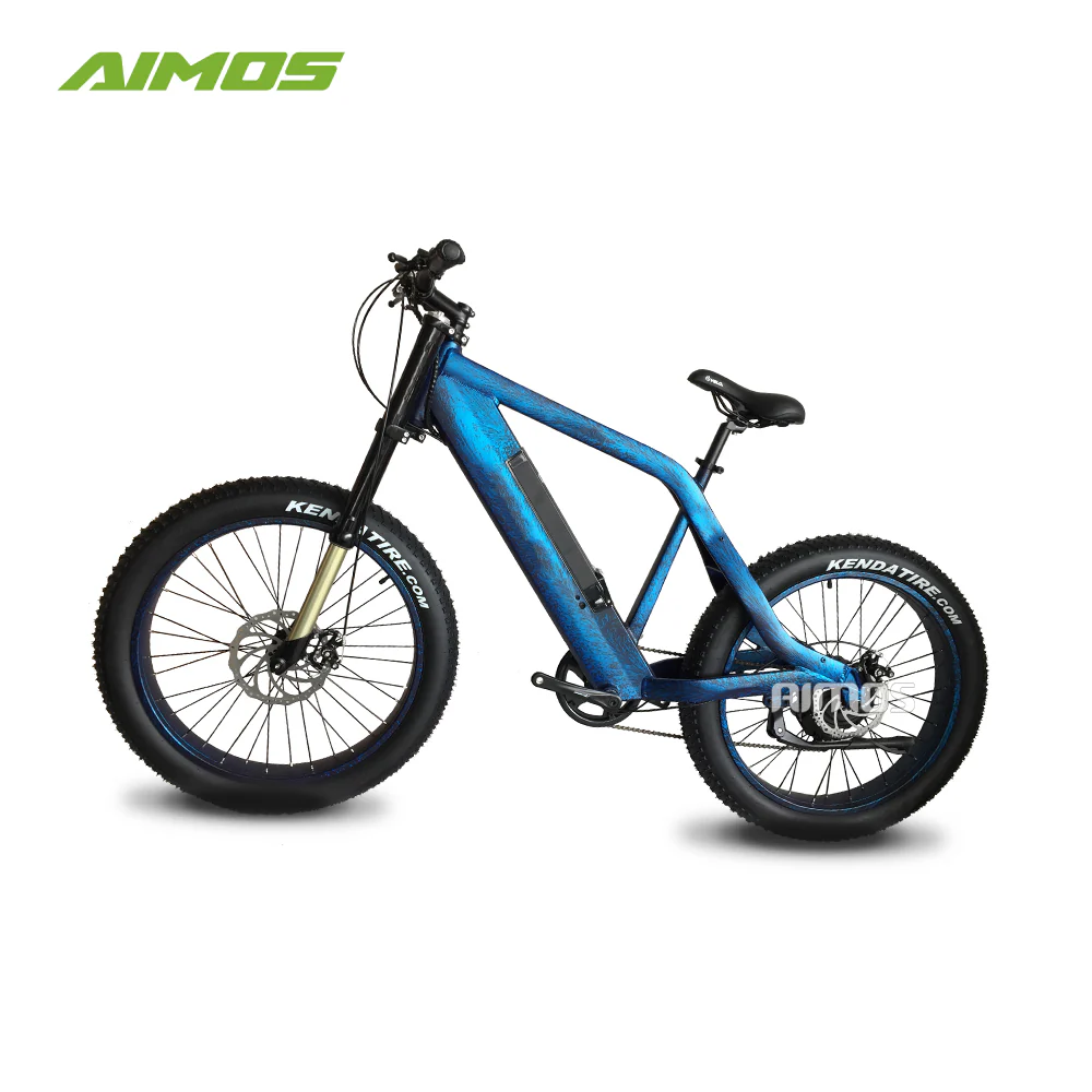 Changzhou bike electric bike 48v 500w electric bicycle