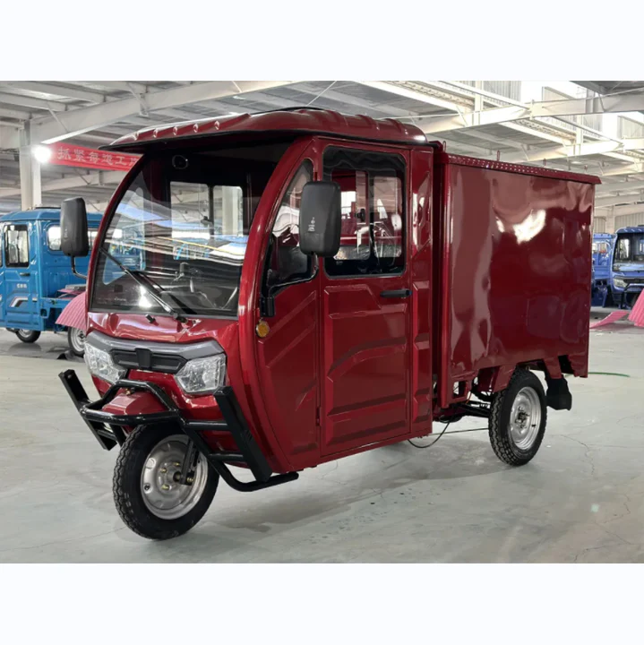 Cargo Tricycle Electric Trike Three Wheeler 3 Wheel Bike With 2000W Motor and Cargo Delivery Closed