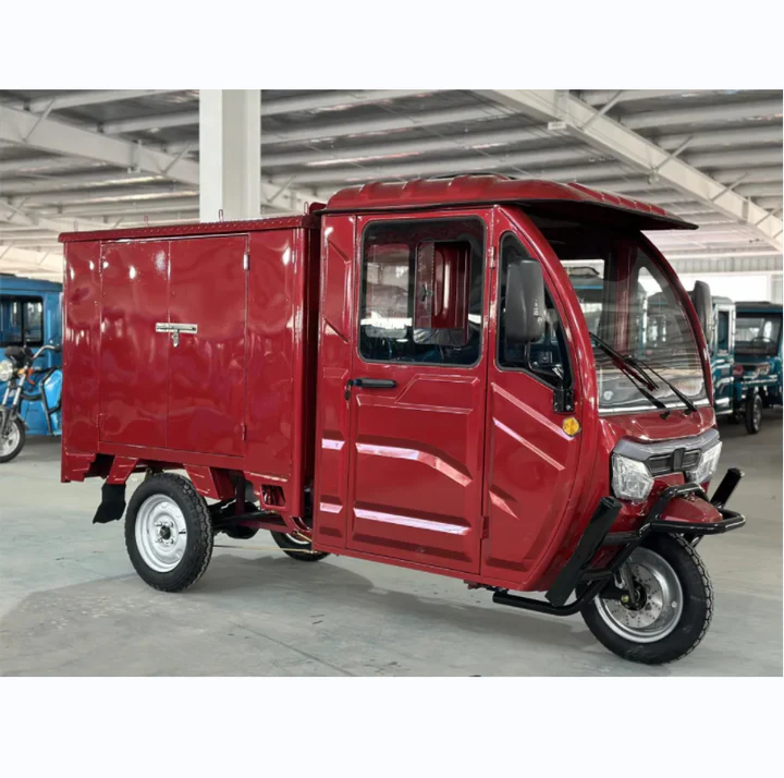 Cargo Tricycle Electric Trike Three Wheeler 3 Wheel Bike With 2000W Motor and Cargo Delivery Closed