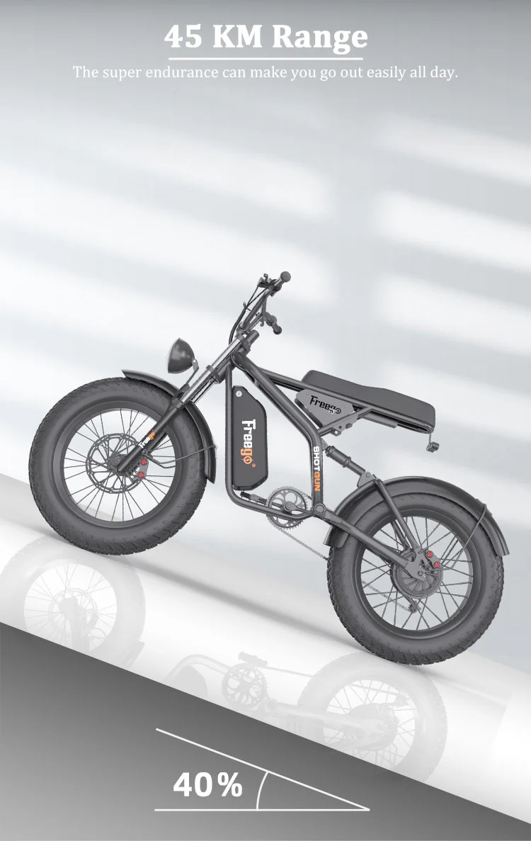 FREEGO New Design High 1000W Power Off Road Ebike 20inch Fat Tire Hybrid Electric Bike for Adult