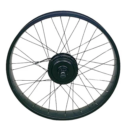 GoSpeed Motor with Rim Installed