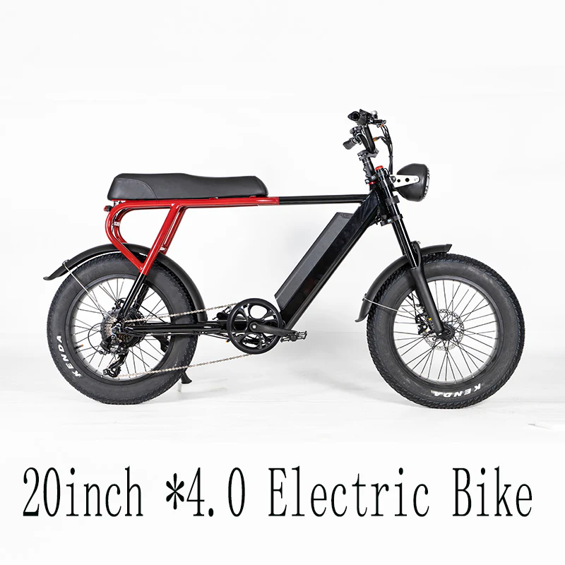 20Inch*4.0 Power-Assisted Electric Bicycle  250W Motor 48V*15AH Battery Road Electric Bike