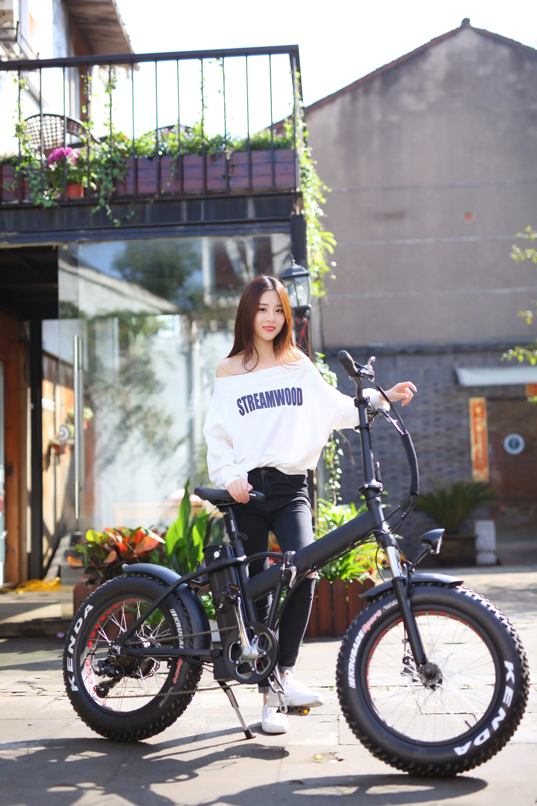 48v1000W 20''x4.0 Snow Beach bicycle fat tire foldable fat electric bike with 48V13AH Lithium Battery for Adult