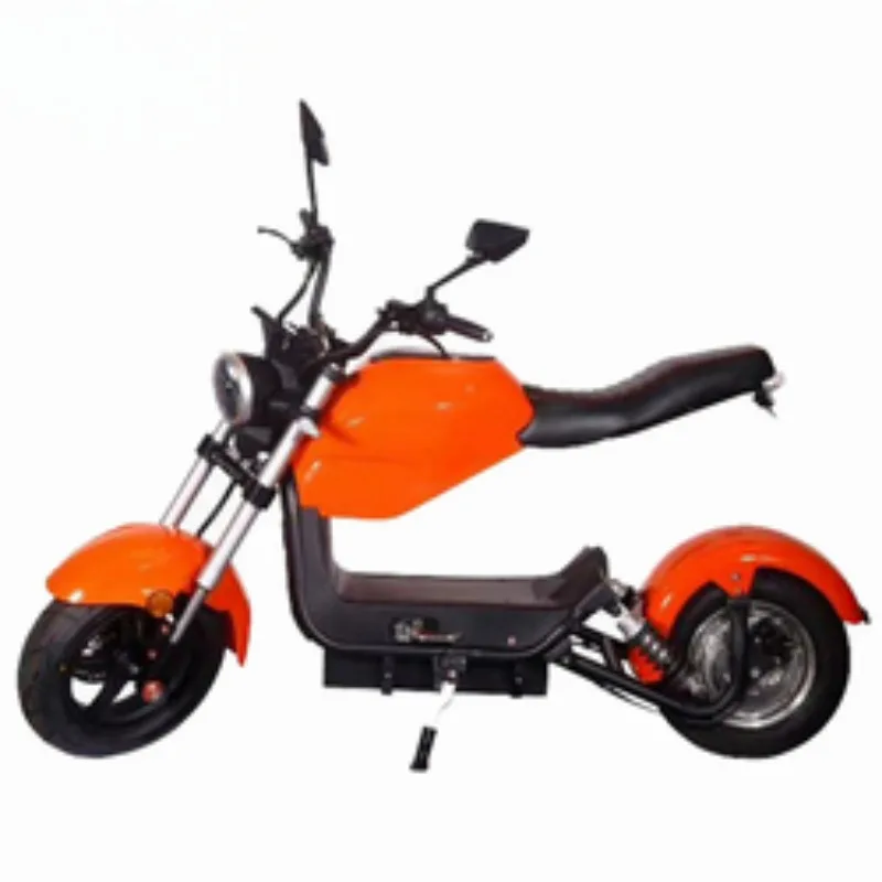 1500W 20Ah Urban Sports High Power Motorcycle Fashionable Adult Electric Motorcycle Assisted Electric Bicycle
