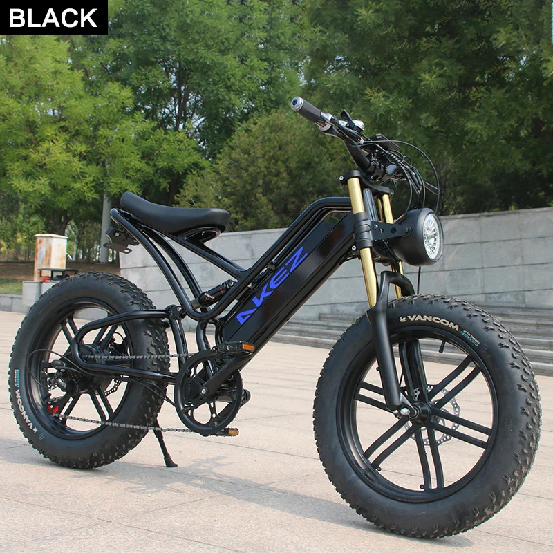 Electric Bike for Adults 750W Motor 48V 13Ah Fat Tire Removable Battery 20'' 45MPH Snowy Mountain Electric Bike