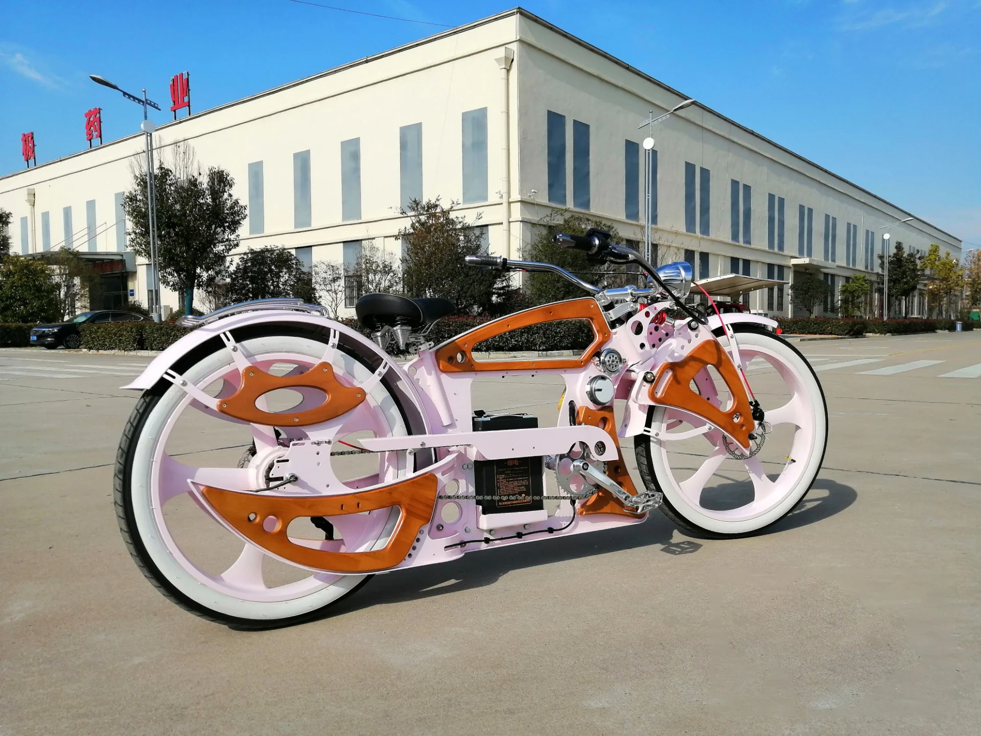 26inch Electric Bicycle Vintage Style Power Electric Bicycle 48V/750W /15AH