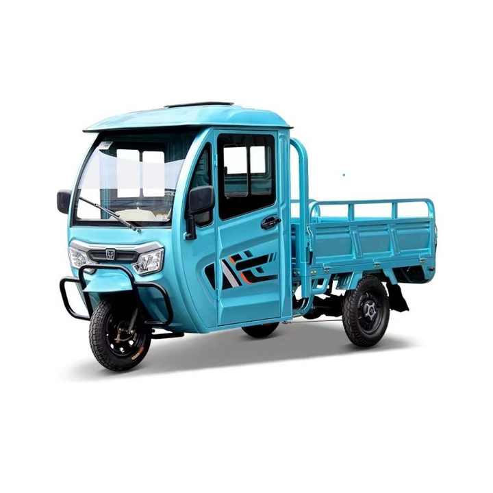 Europe and America Popular High Quality 1000w Three Wheels Triciclo Electric Cargo Tricycle Electric Cargo Tricycle for Adult