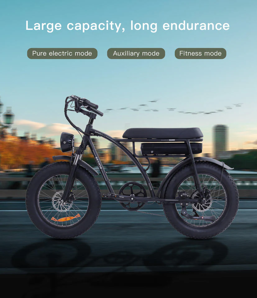BEZIOR XF001 1000W Electric Moped Bike - Full Suspension, 20*3.0 Inch Wheels, Long Seat - Powerful and Affordable City Ebike for Commuting and Exploration