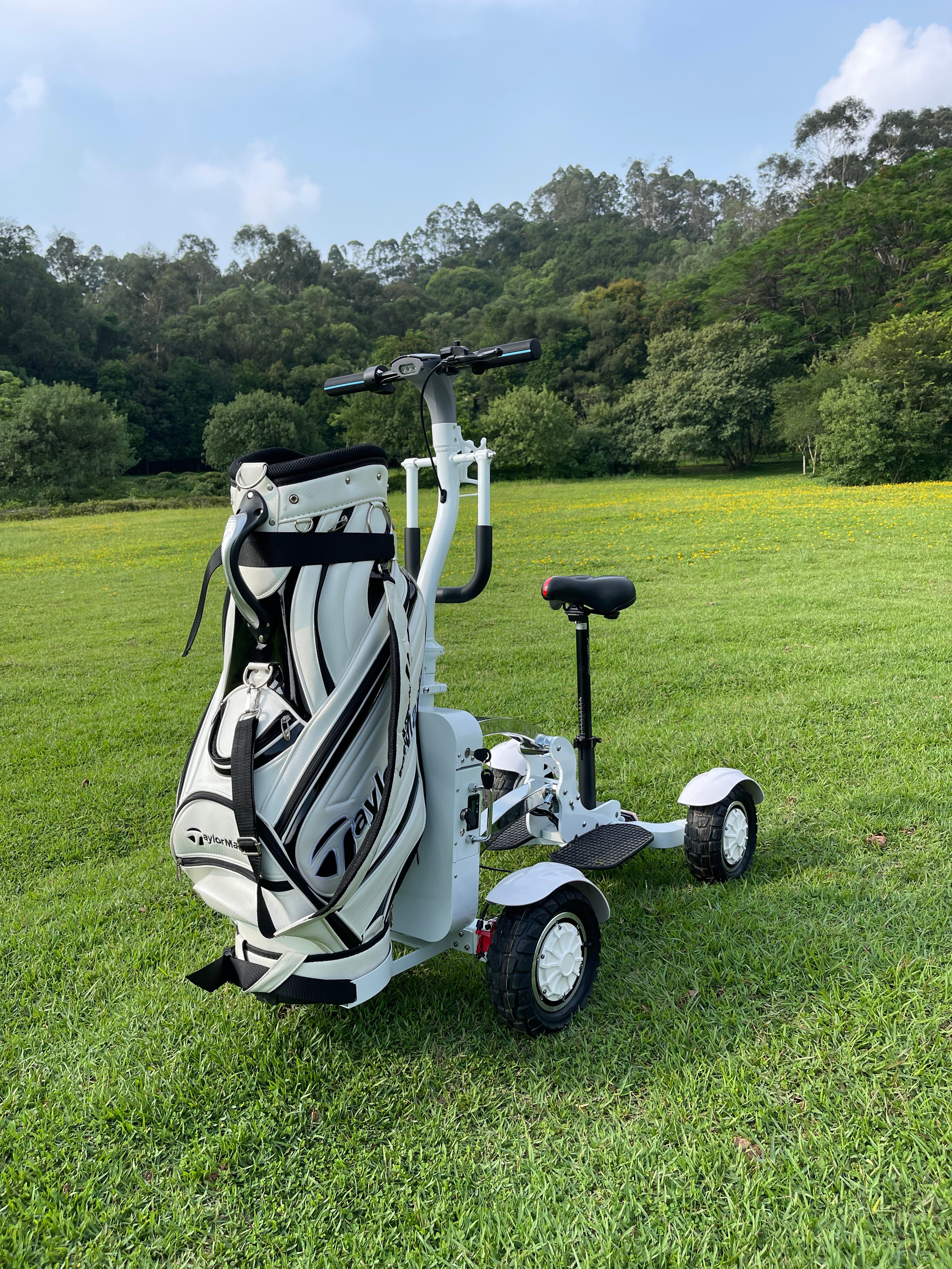 ESWING M12-2 Golf Electric Scooter