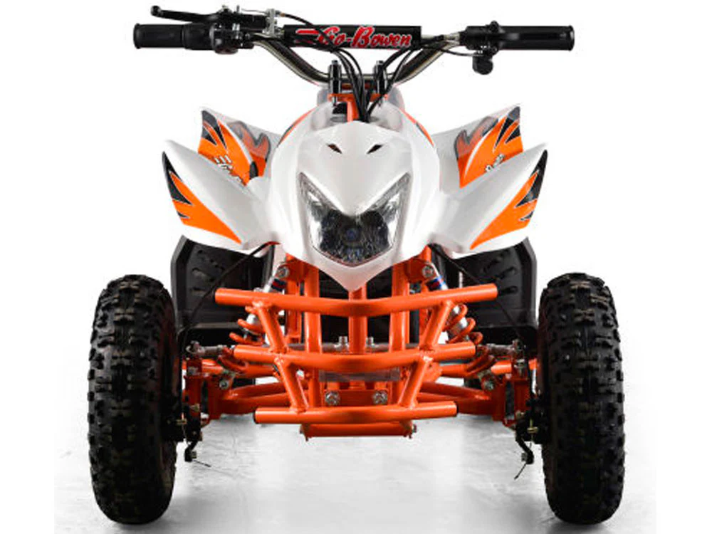 350w Electric ATV 24V